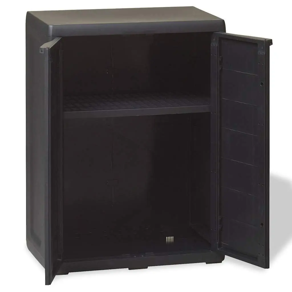 Outdoor Storage Cabinet Black Patio Shed Organiser with Adjustable Shelf
