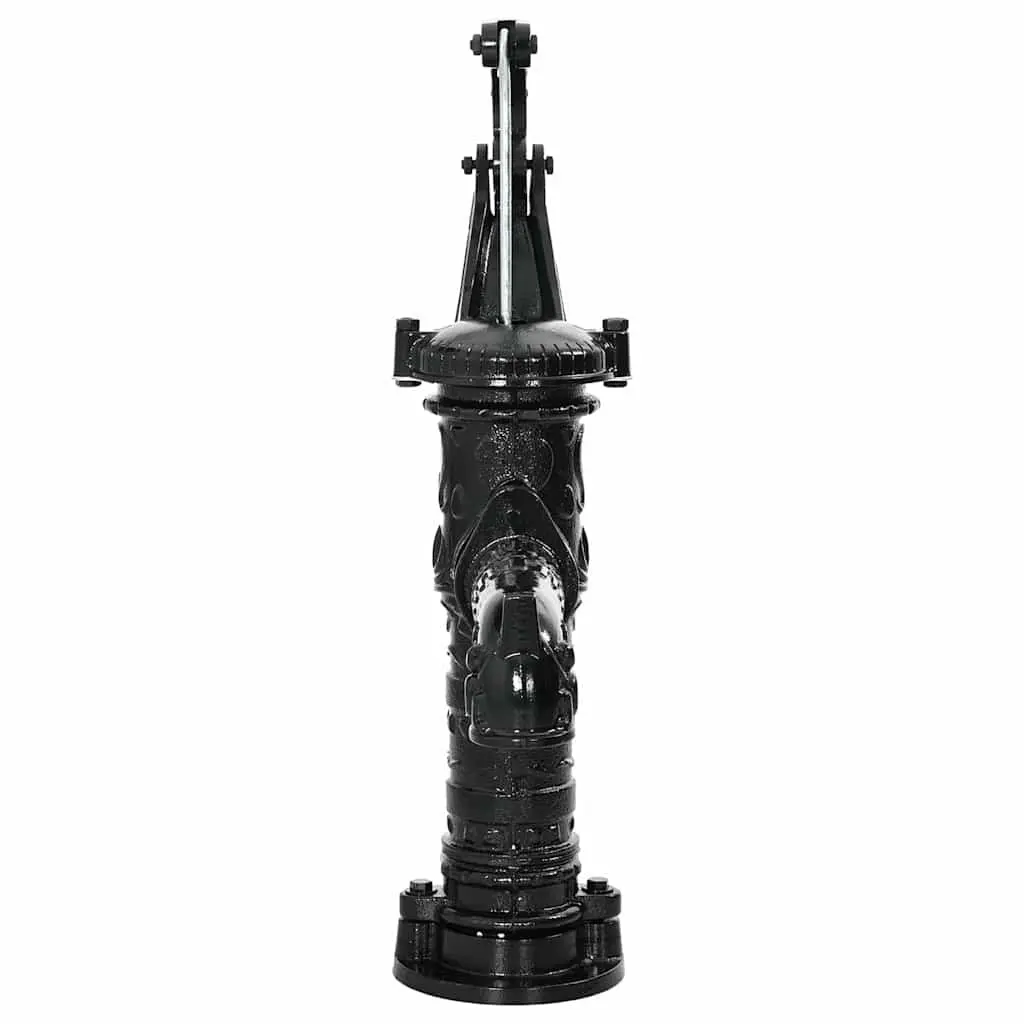 Hand Operated Garden Water Pump Manual Black Cast Iron 38 mm