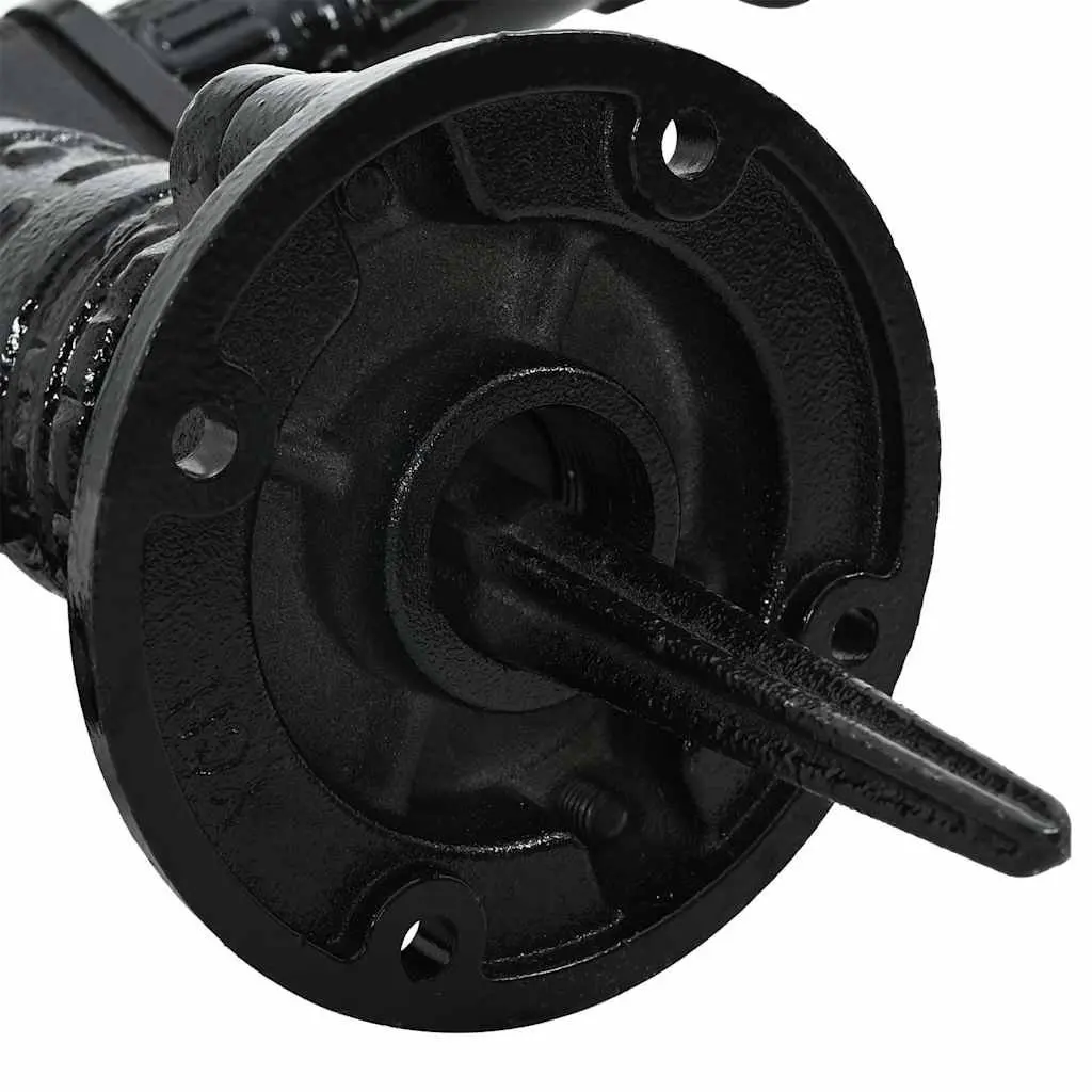 Hand Operated Garden Water Pump Manual Black Cast Iron 38 mm