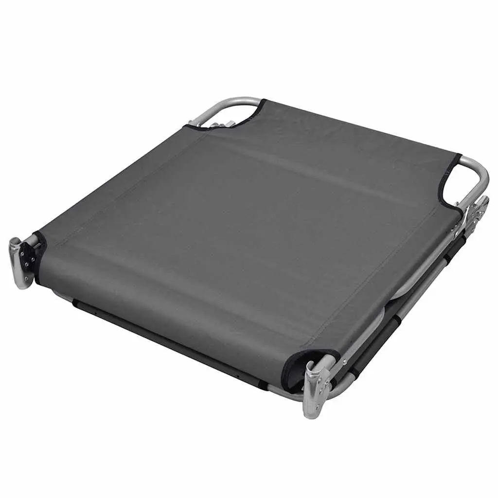 Foldable Sun Lounger Adjustable Backrest Head Cushion Grey