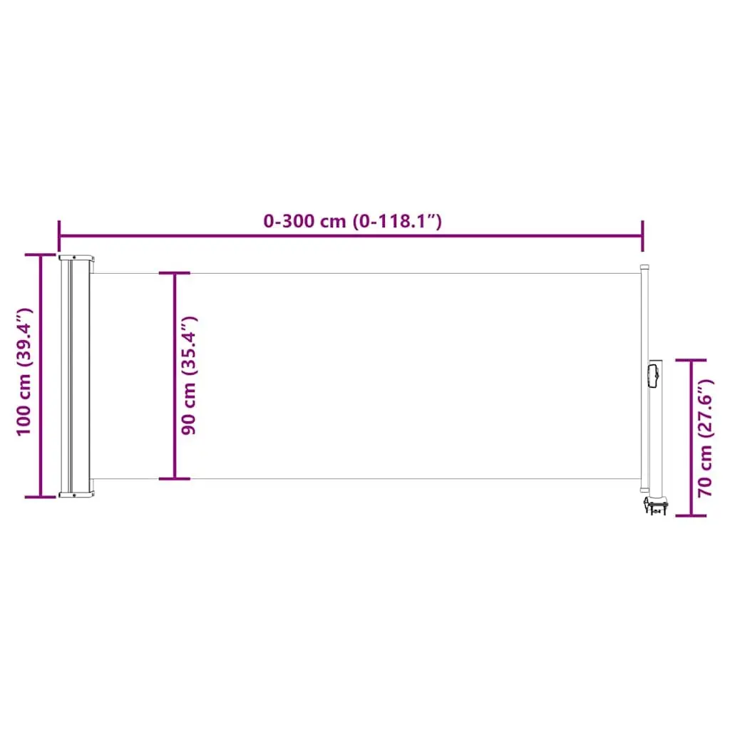 Retractable Side Awning Outdoor Privacy Screen 100 x 300 cm Black