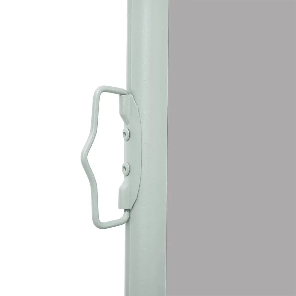 Retractable Side Awning Outdoor Sunshade 160x500cm Grey