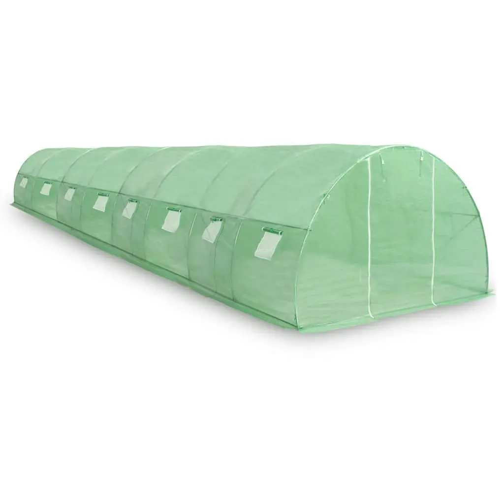 Greenhouse 36 m² Garden Plant House Galvanised Steel Frame PE Mesh Green with Windows