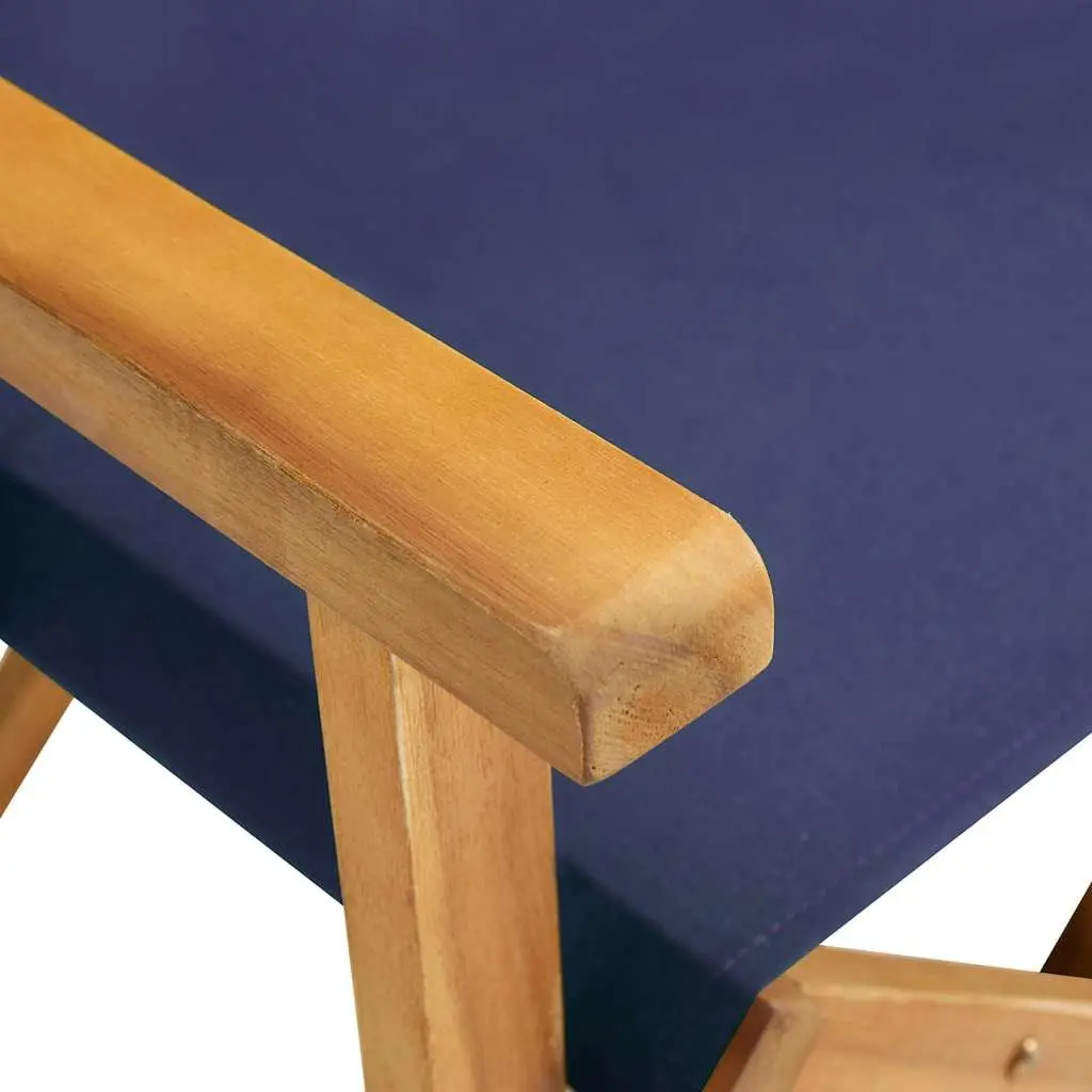 Outdoor Folding Chairs Set of Two for Camping Beach Seating Blue