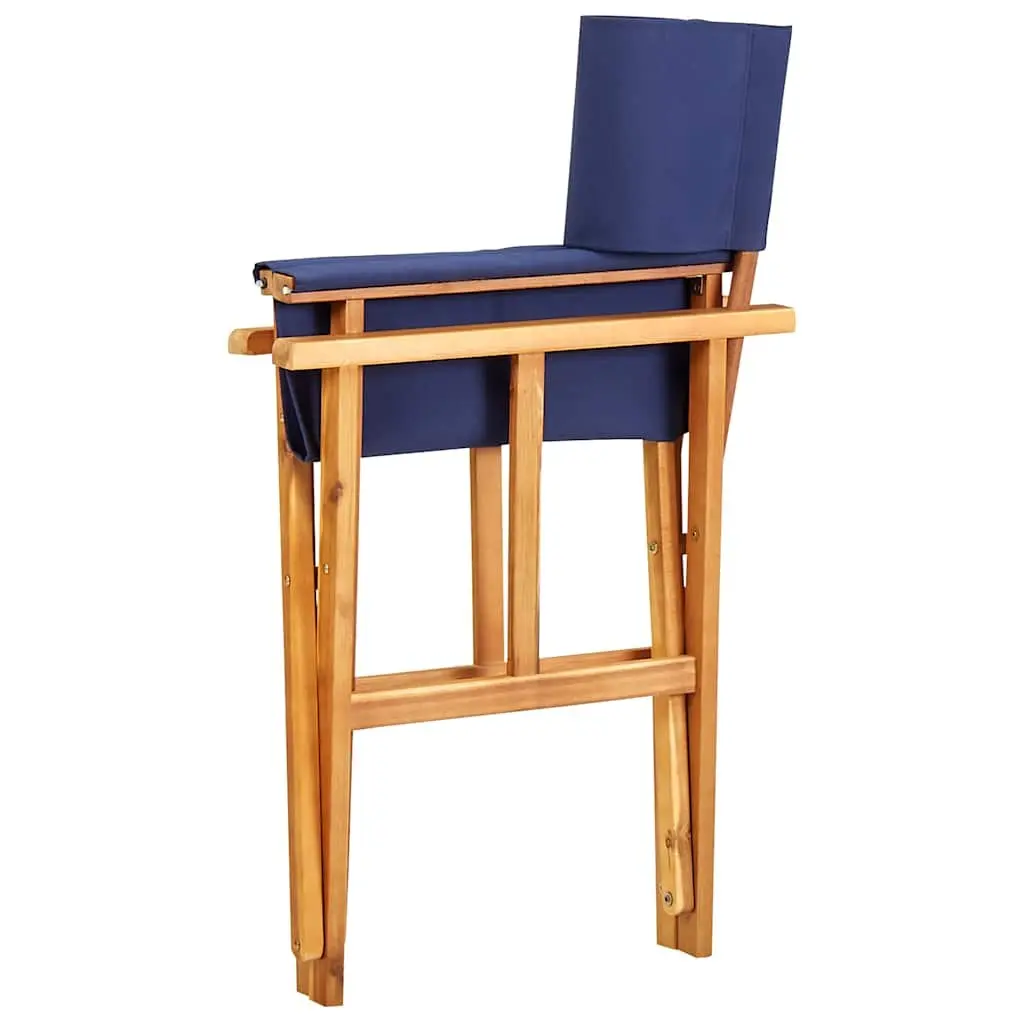 Folding Director's Chair Outdoor Seating Camping Beach Portable Blue Seat