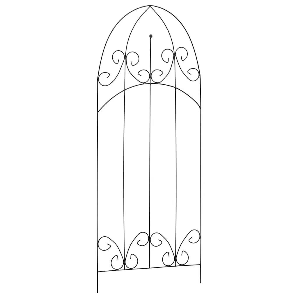 Plant Climbing Rack Arched Roof Support for Flowers 40 x 100 cm Black 3 Piece