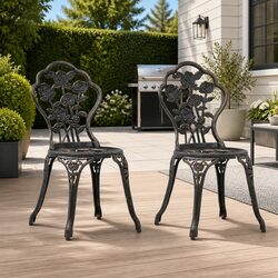 Two Durable Bistro Chairs for Outdoor Enjoyment
