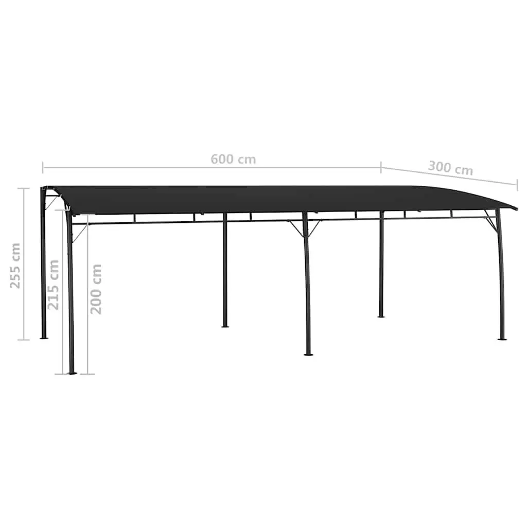 Garden Sunshade Awning Outdoor Canopy Shelter 6 x 3 x 2.55 m Anthracite