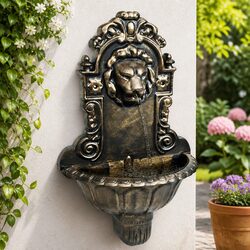 Elegant Indoor Water Fountain - Lion Head Design