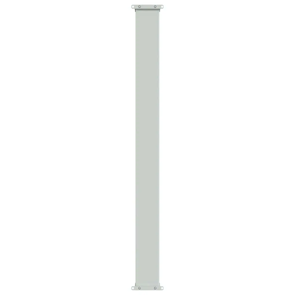 Retractable Side Awning Privacy Screen 100x300 cm Grey Sunshade