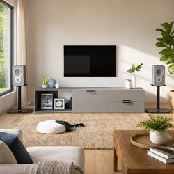Reliable Black Speaker Stands with Glass Top