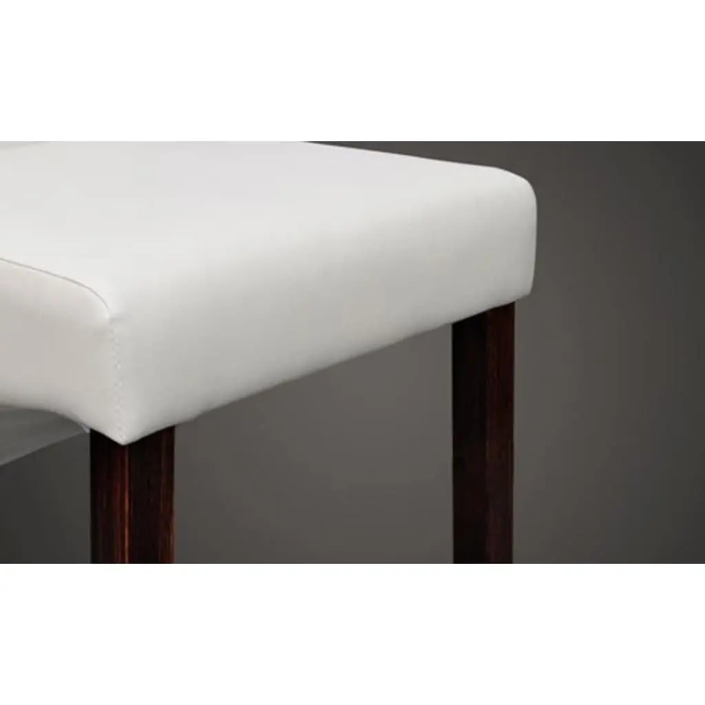 Dining Chairs Set of 2 Padded Seat Kitchen Backrest White