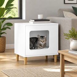 Comfortable Retreat for Your Cat at Home