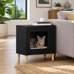 Reliable Black Cat House: Practical and Durable