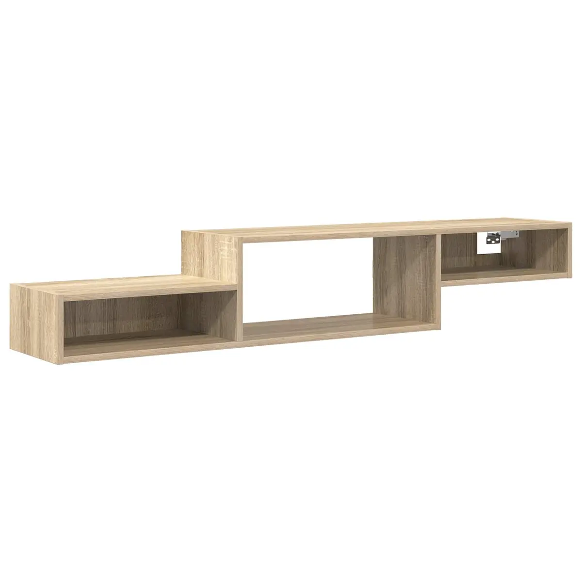 Wall-Mounted TV Cabinet with Ample Storage