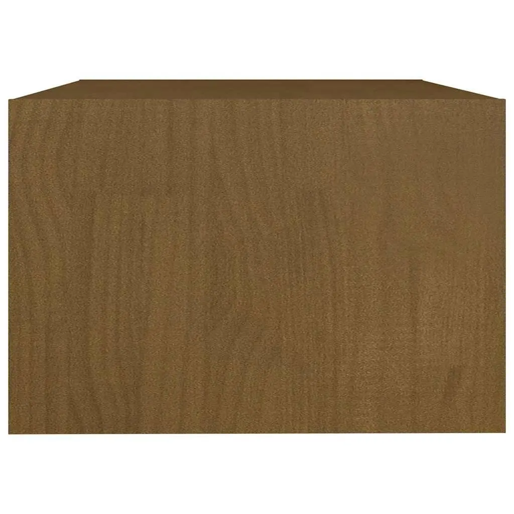 Brown Pinewood Coffee Table with Storage Option