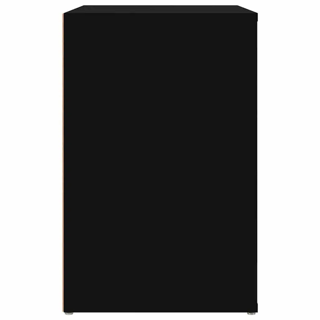 Shoe Cabinet Black Engineered Wood Storage Organiser 2 Compartments