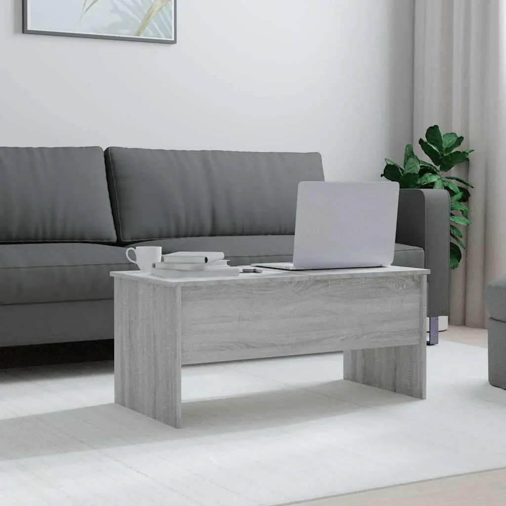 Grey Sonoma Coffee Table with Ample Storage