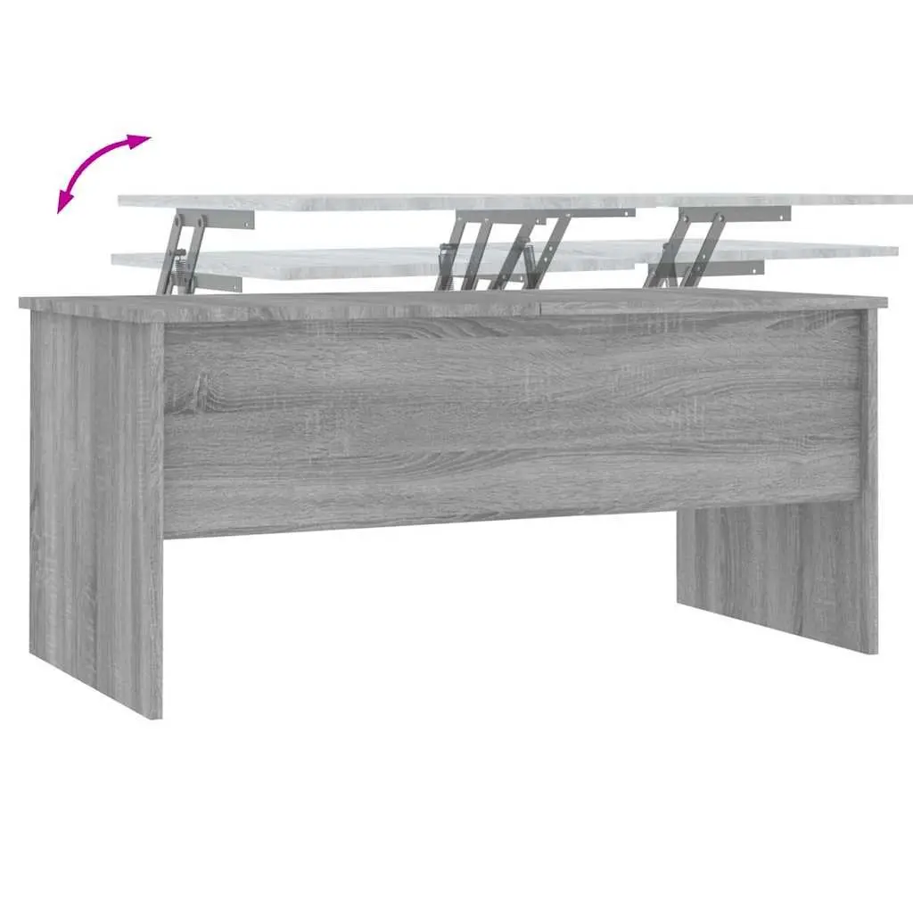 Grey Sonoma Coffee Table with Ample Storage