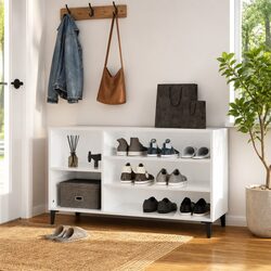 Reliable High Gloss Shoe Storage for Your Home