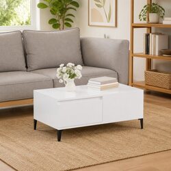 Reassuringly Practical Coffee Table with Storage