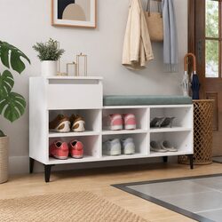 Practical High Gloss Shoe Cabinet for Shoe Lovers