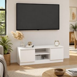 Affordable White TV Cabinet with Door for Your Home