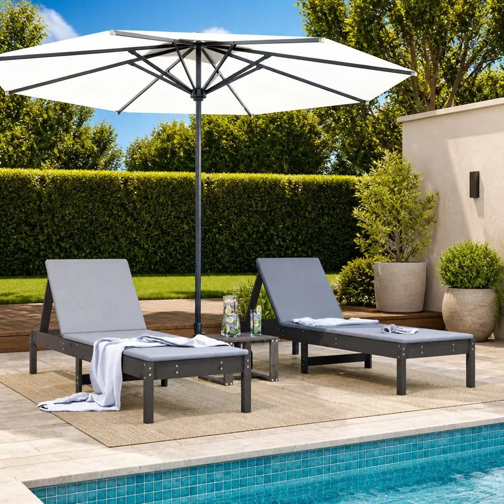 Grey Sun Loungers 2 pcs with Adjustable Backrest