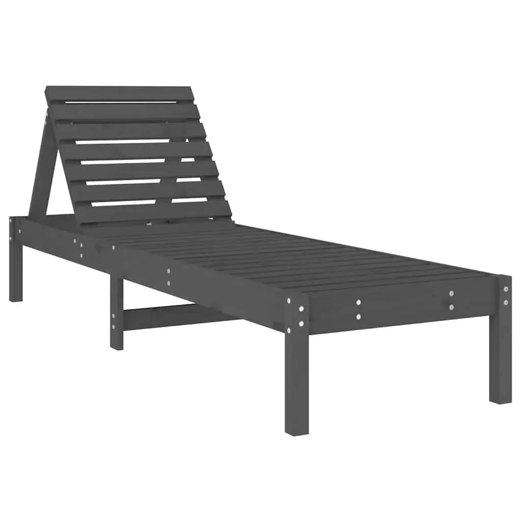Grey Sun Loungers 2 pcs with Adjustable Backrest