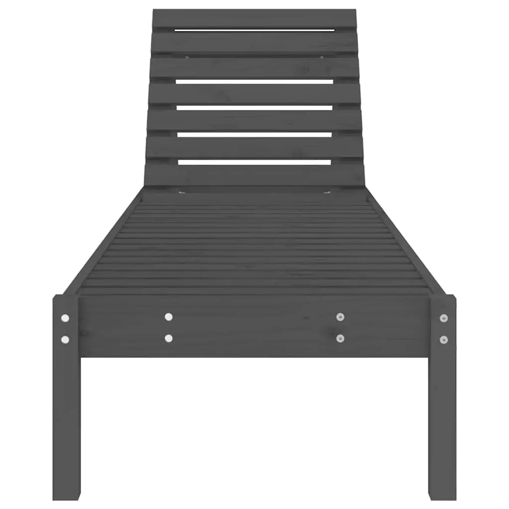 Grey Sun Loungers 2 pcs with Adjustable Backrest