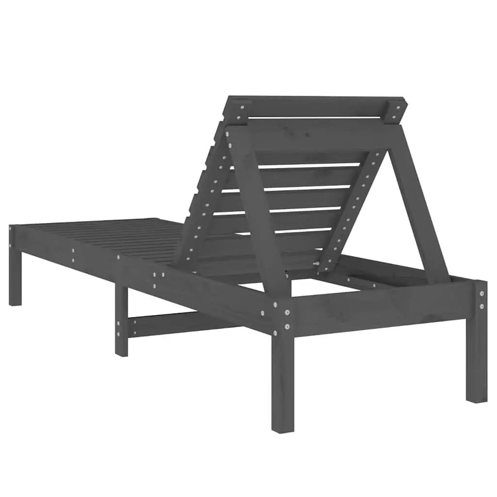 Grey Sun Loungers 2 pcs with Adjustable Backrest
