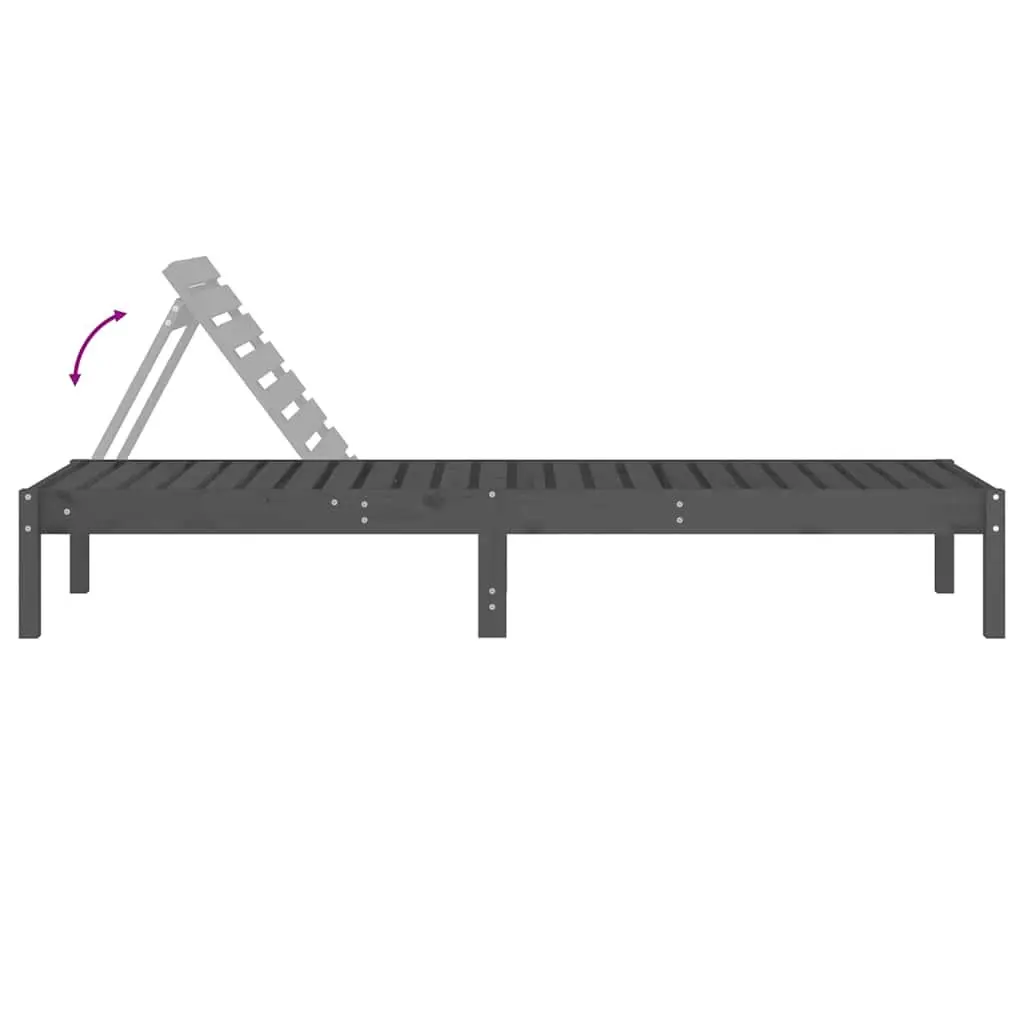 Grey Sun Loungers 2 pcs with Adjustable Backrest