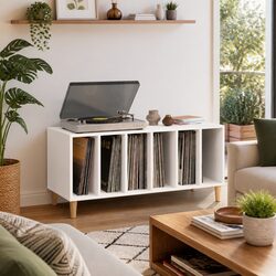 Reliable Record Storage Cabinet with Practical Features