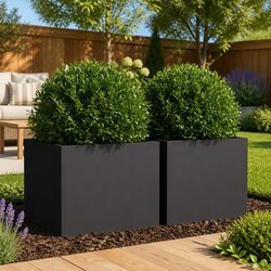 Reliable Black Steel Planters 2 pcs for Your Plants