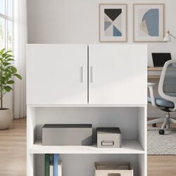 Reliable Wall Cabinet: Practical and Functional