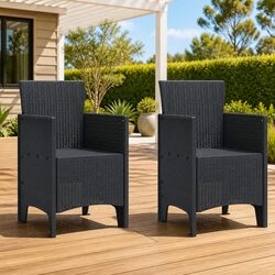 Comfortable and Durable 2-Piece Garden Chair Set