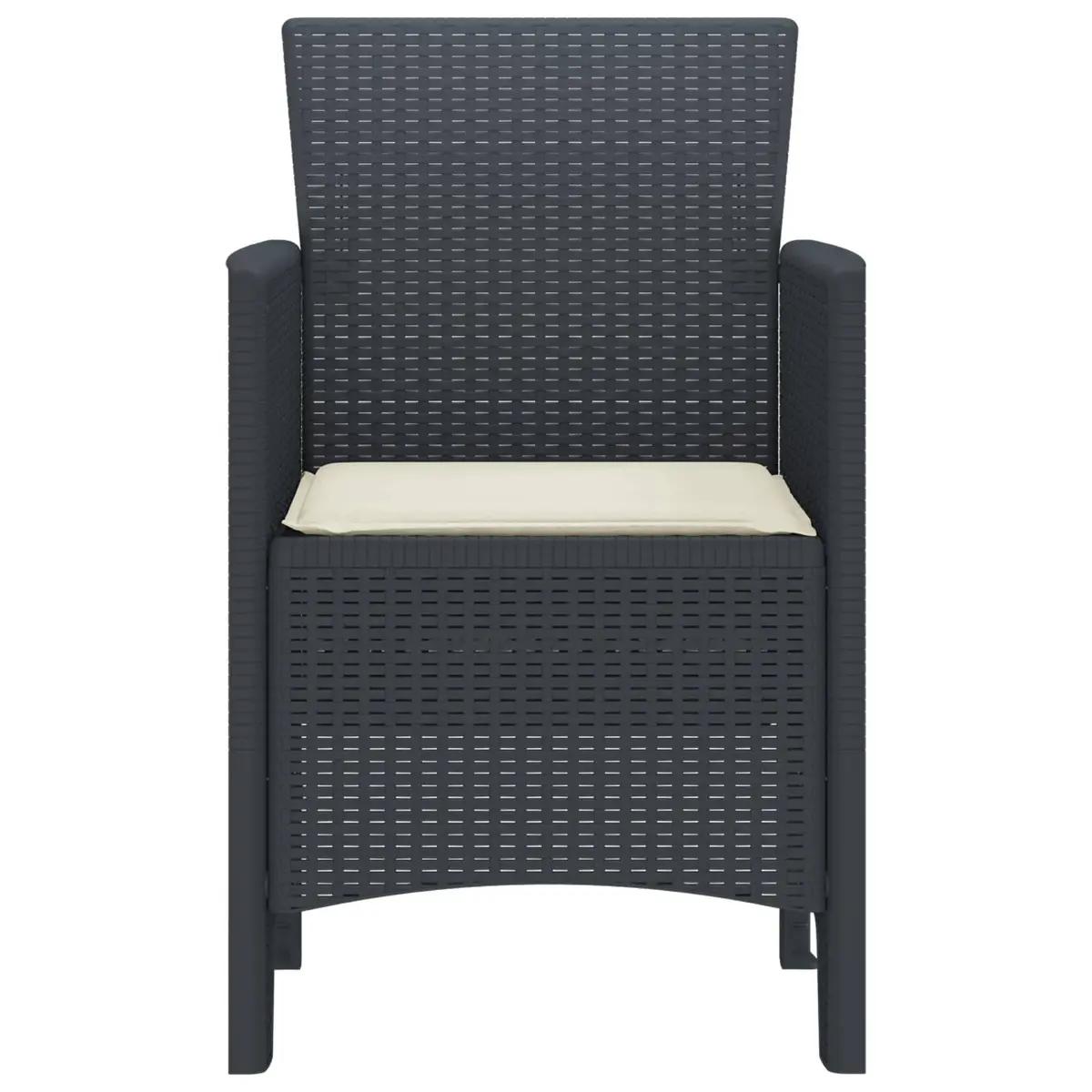 Outdoor Garden Chair Set 2pcs Anthracite Modern Seating Polypropylene