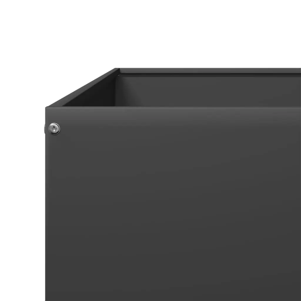 Raised Garden Bed Planter Outdoor Flowers Vegetables Herbs 100 x 100 x 26 cm Black Steel