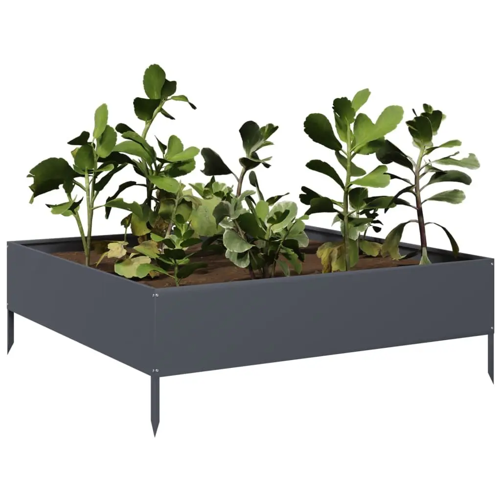 Steel Raised Garden Bed Planter Outdoor Flowers 100x100x33.5cm Anthracite
