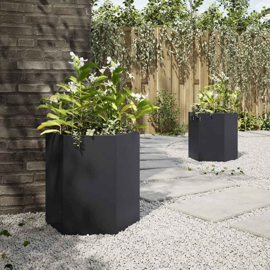 Garden Planters Raised Outdoor Flower Pot 46x40x45 cm Black Hexagon 2 pcs