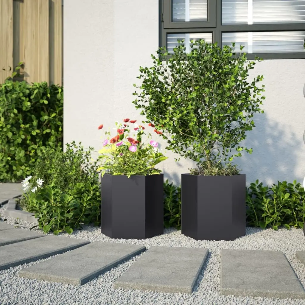 Garden Planters Raised Outdoor Flower Pot 46x40x45 cm Black Hexagon 2 pcs