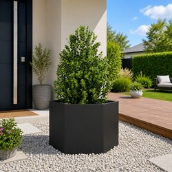 Black Steel Hexagonal Planter for Practical Gardening Needs
