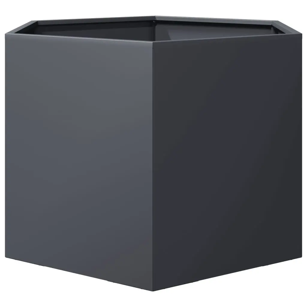 Steel Hexagon Raised Bed Planter for Outdoor Flowers Plants Vegetables Anthracite 69x60x45cm