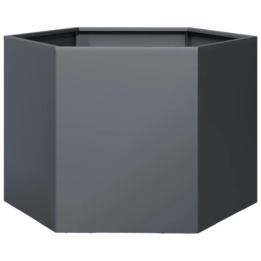 Steel Hexagon Raised Bed Planter for Outdoor Flowers Plants Vegetables Anthracite 69x60x45cm