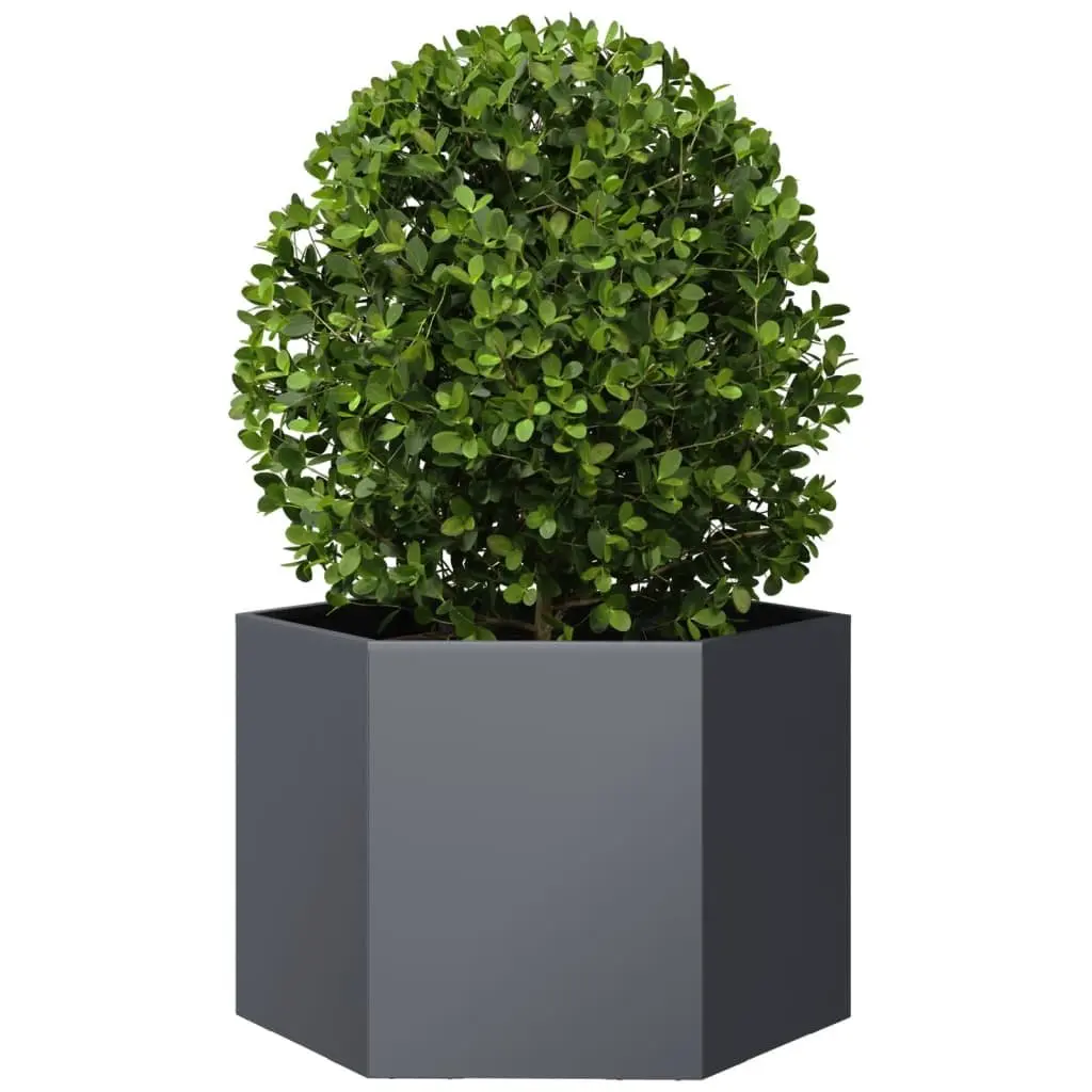 Steel Hexagon Raised Bed Planter for Outdoor Flowers Plants Vegetables Anthracite 69x60x45cm