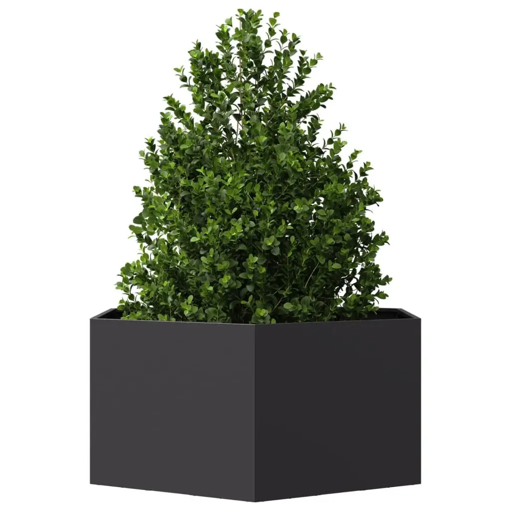 Garden Planter Hexagon Black Raised Bed Outdoor Plants Flowers Vegetables Herbs