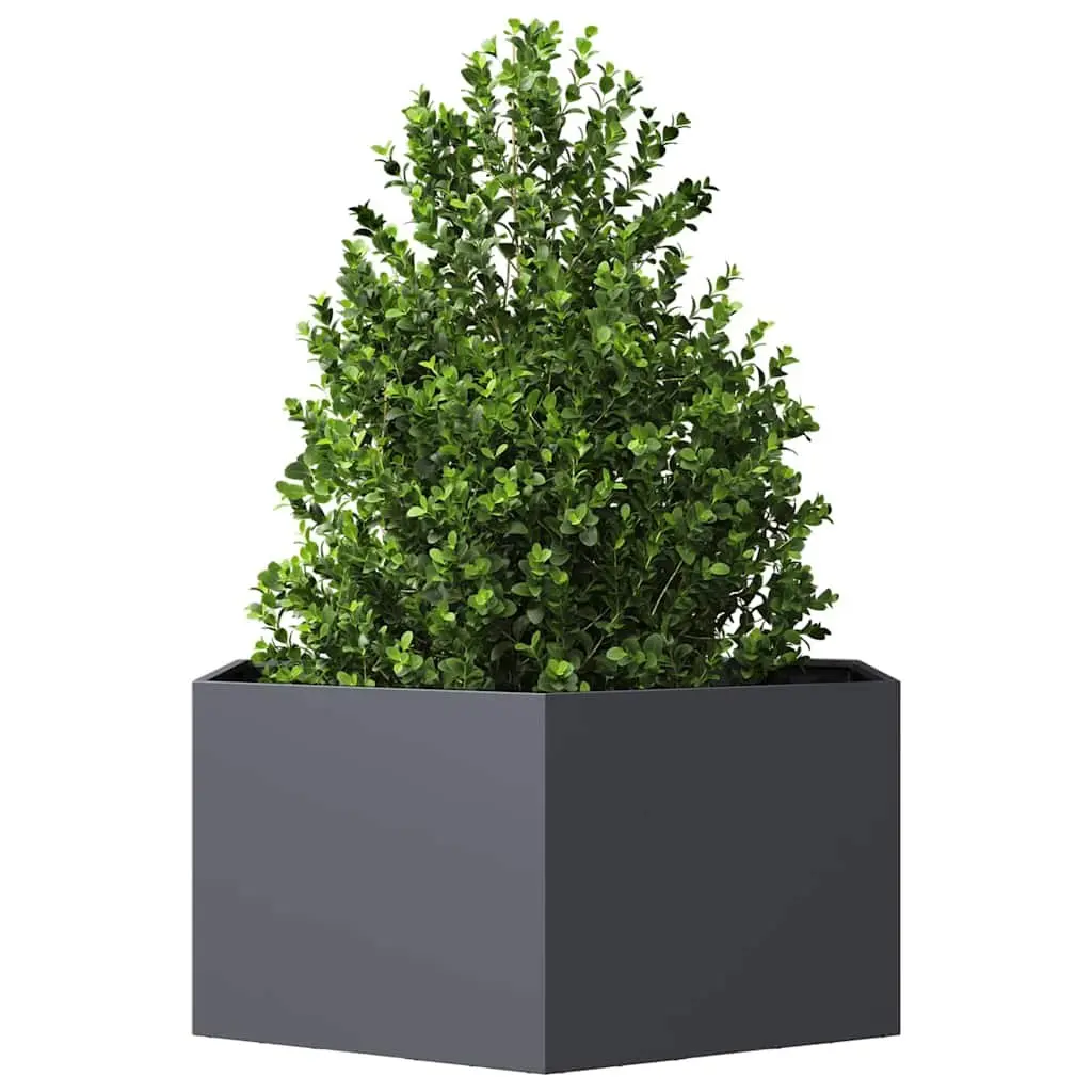Garden Planter Hexagon Raised Bed Outdoor Flowers Plants Steel Anthracite 104L x 90W x 45H cm