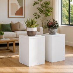 Plant Stands 2 pcs White 20x20x30 cm Engineered Wood Flower Pot Display