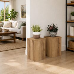 Reliable Plant Stands 2 pcs Brown for Your Home