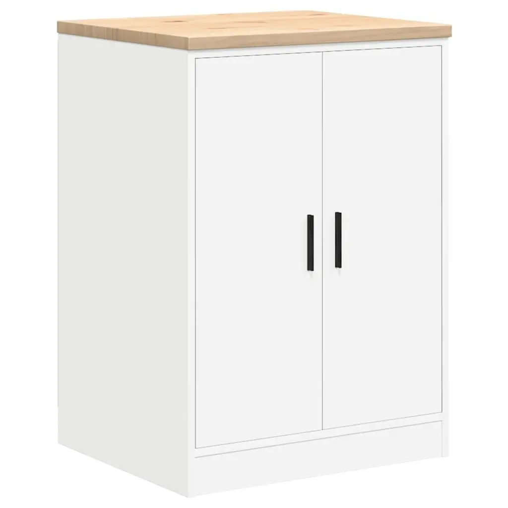 Garage Storage Cabinet for DIY Enthusiasts